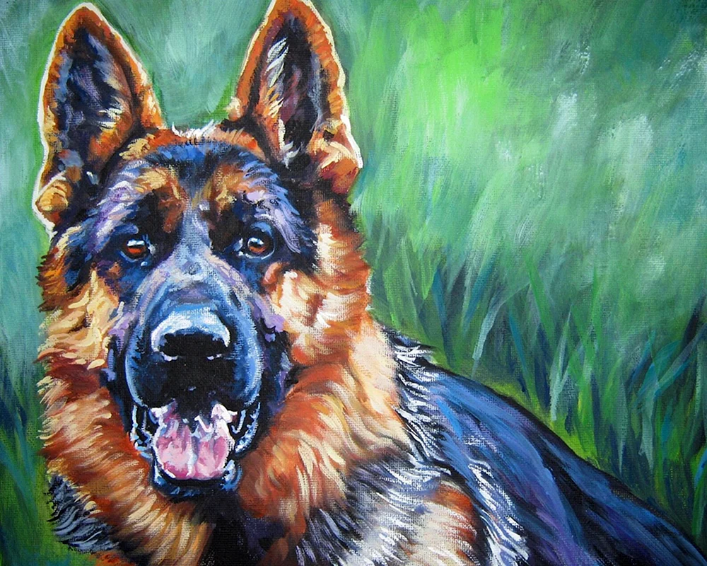 Schäferhund Bleistiftzeichnung