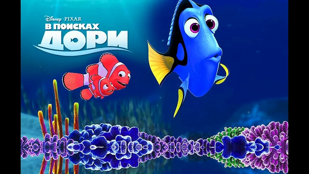 Nemo Cartoon