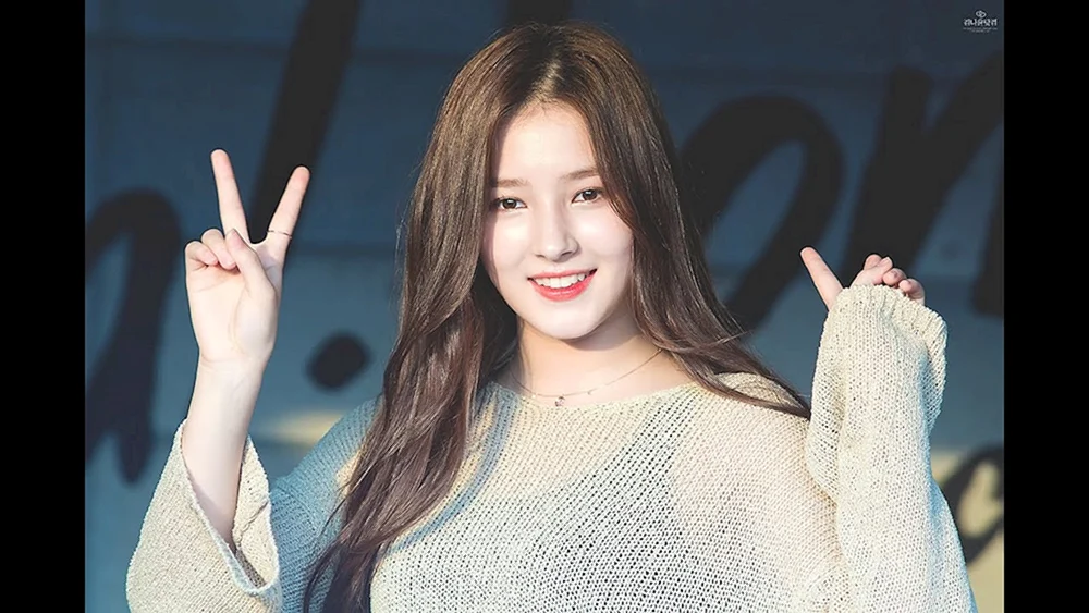 Nancy Jewel Mcdonie