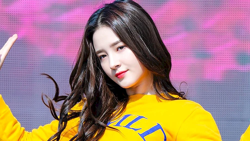 Nancy Mcdonie