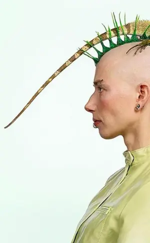 Ungewöhnliche Frisuren