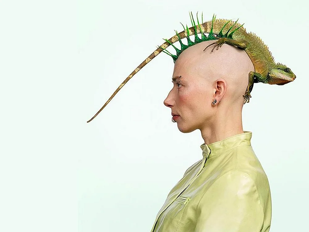 Ungewöhnliche Frisuren
