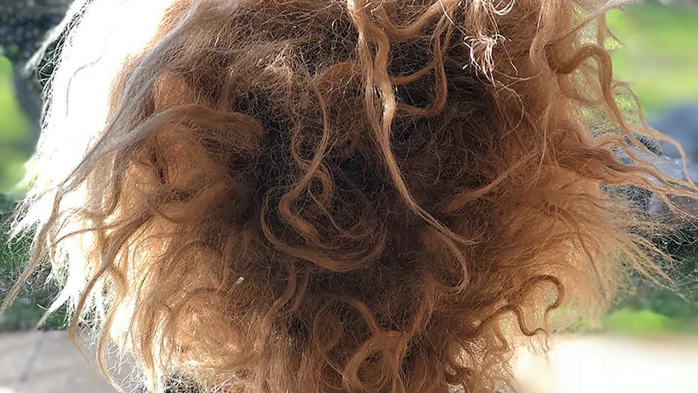 Italienisches Bio-Lockenhaar