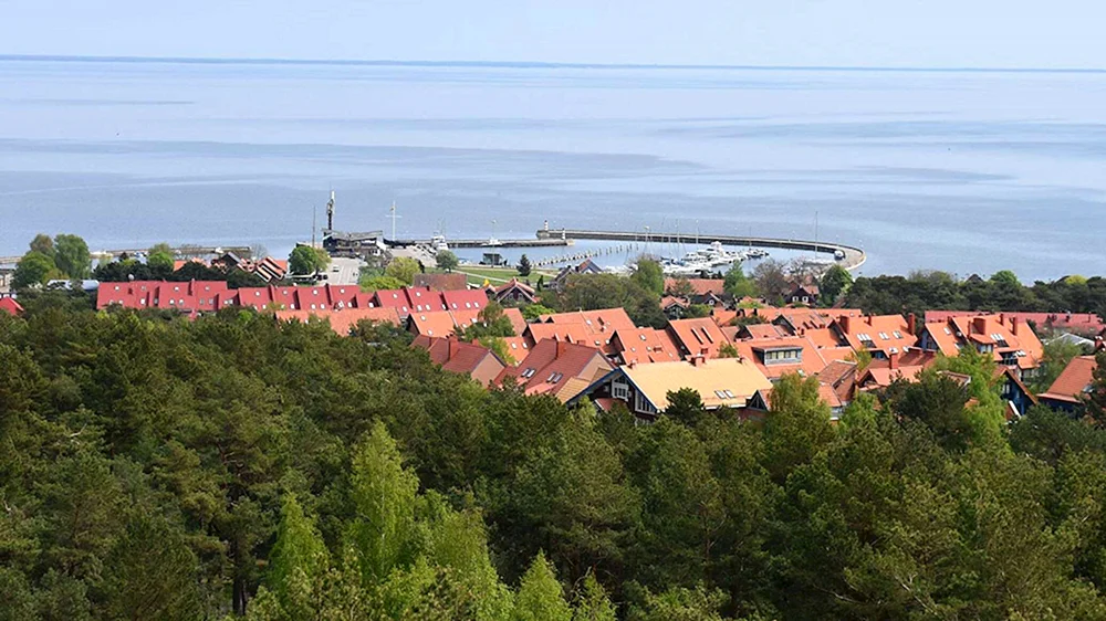 Neringa Kriziute