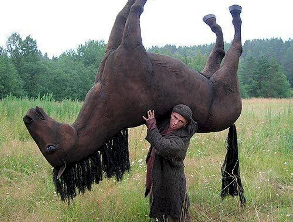 Nesti Pferd