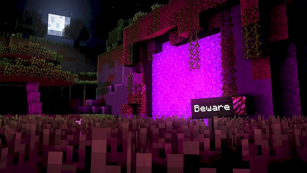 Nether Minecraft
