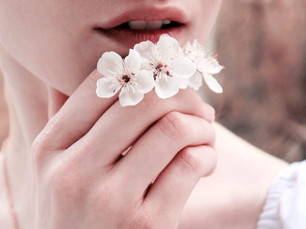 Schöne Blumen
