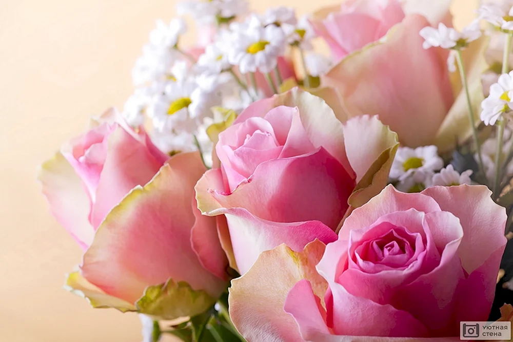 Zarte Blume