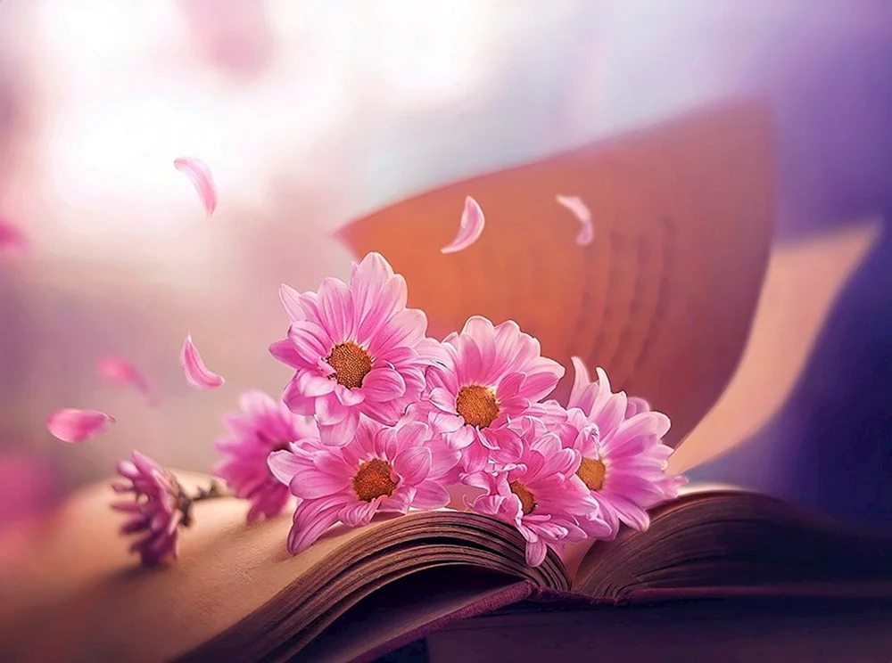 Blumen im Sonnenlicht