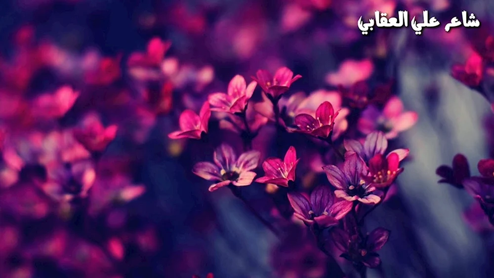 Eine zarte Blume