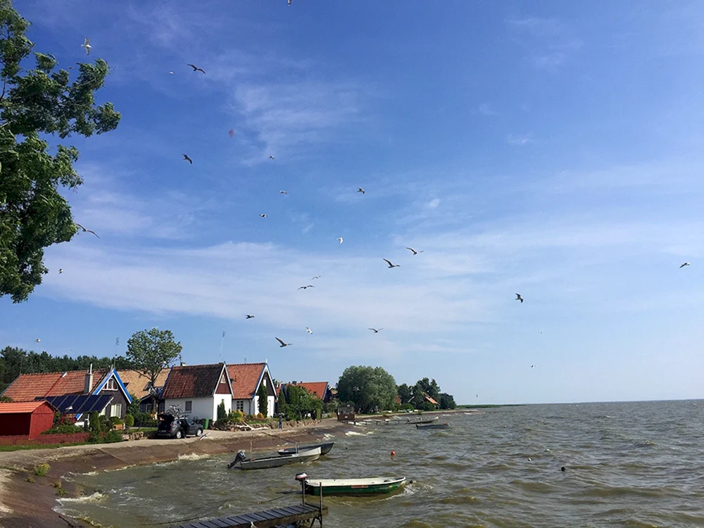 Varankaite Neria Antanasovna