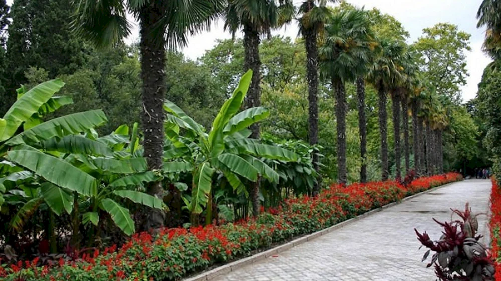 Yalta Primorsky Park benannt nach Juri Gagarin Jalta