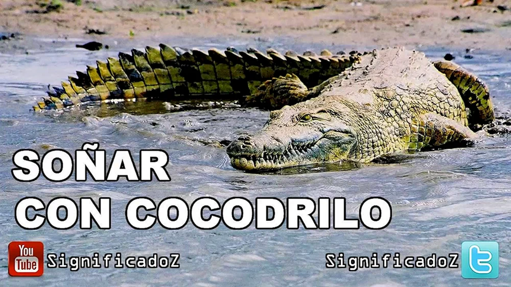 Riesenschopfkrokodil
