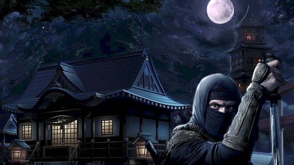 Shinobi assassin
