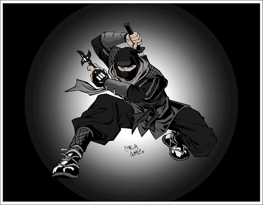 Ninja Shinobi Kunst