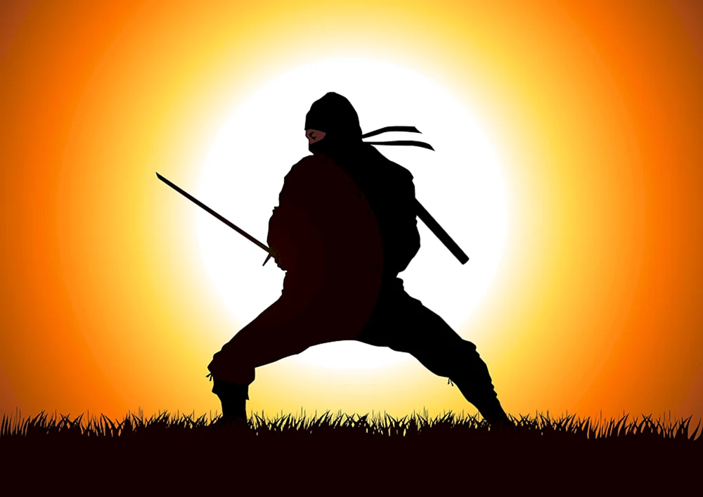 Ninja Schattenkrieger Film 2012
