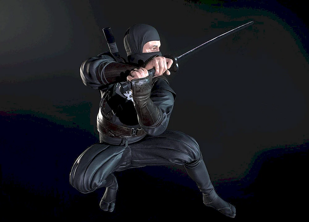Ninja Schattenkrieger Film 2012