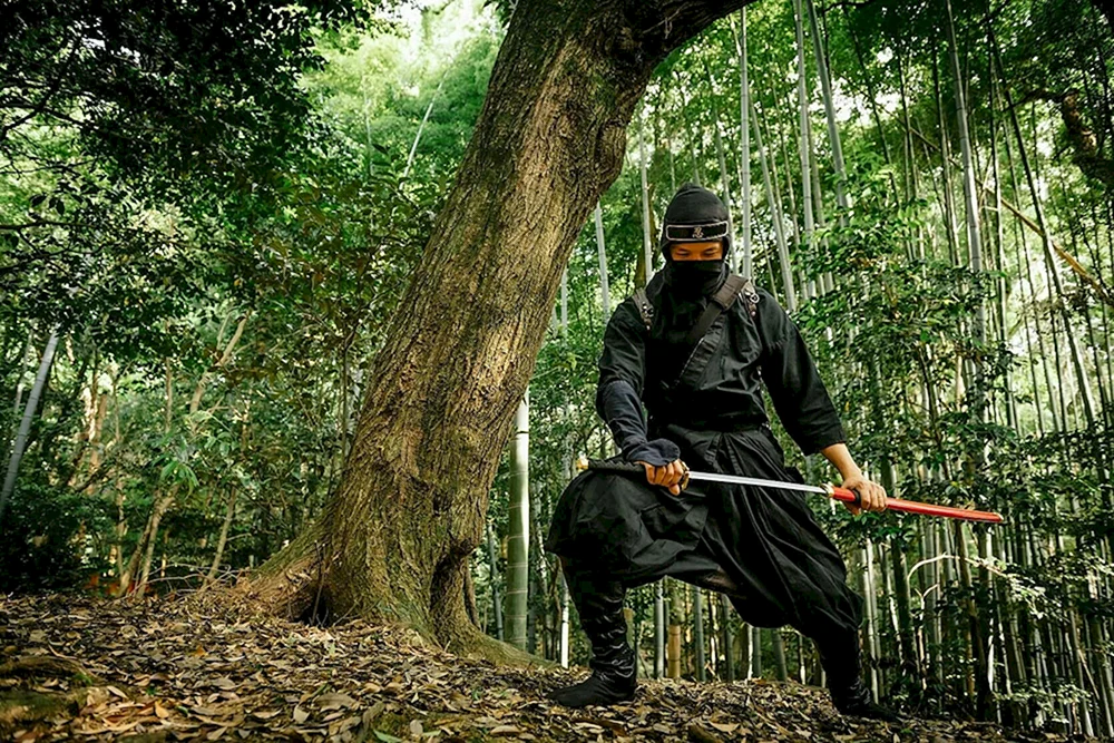 Ninja Schattenkrieger Film 2012