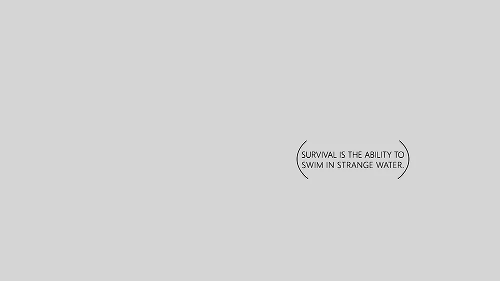 Nn- desktop wallpaper