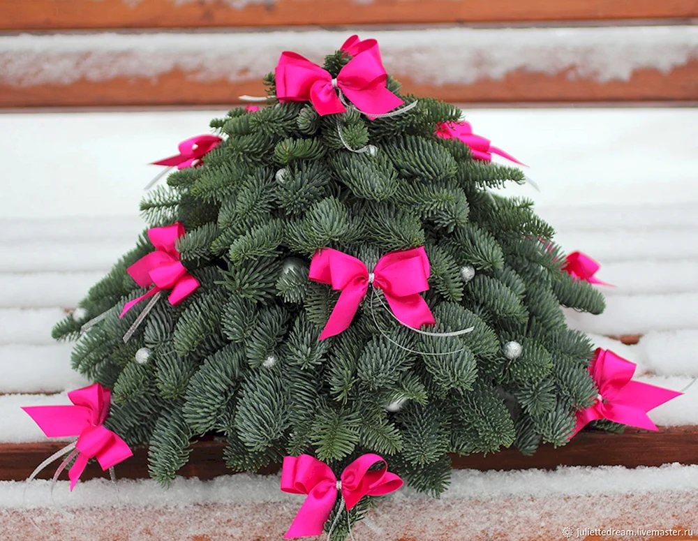 Nobilis Weihnachtsbaum