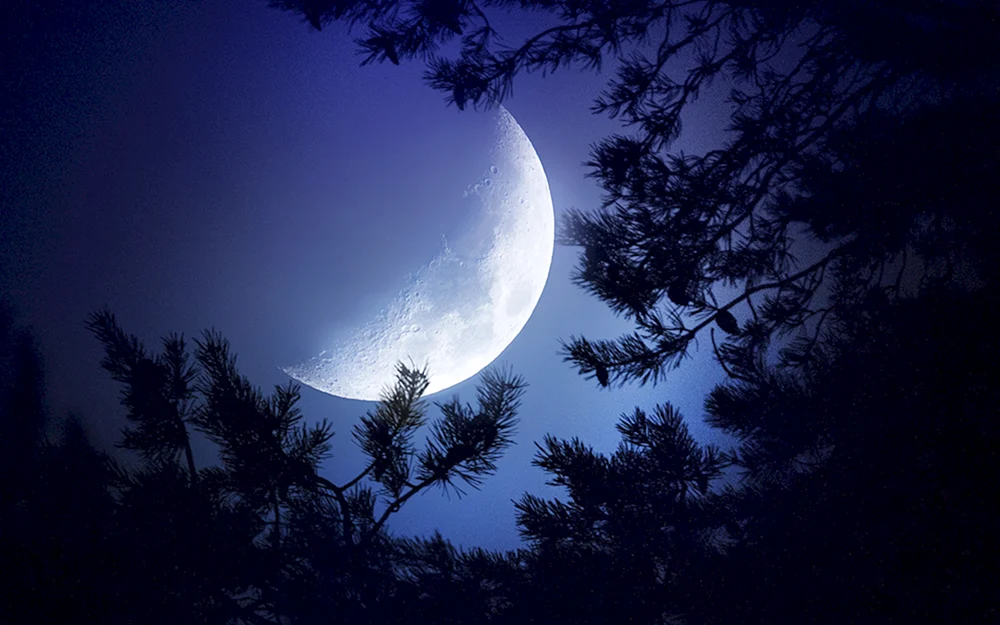Luna