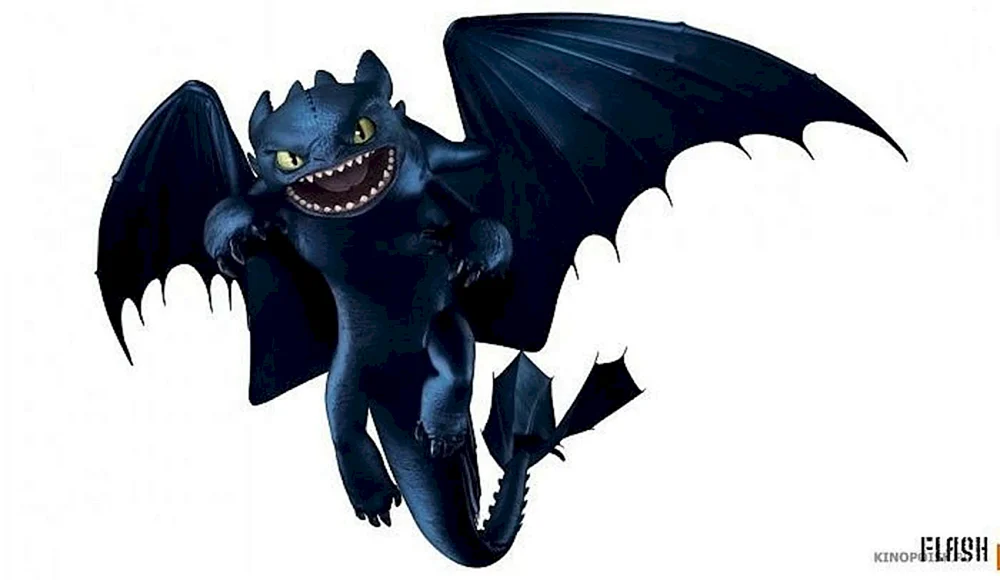 Night Fury 1