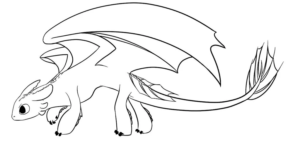 Zahnloser Drache und Tagschatten