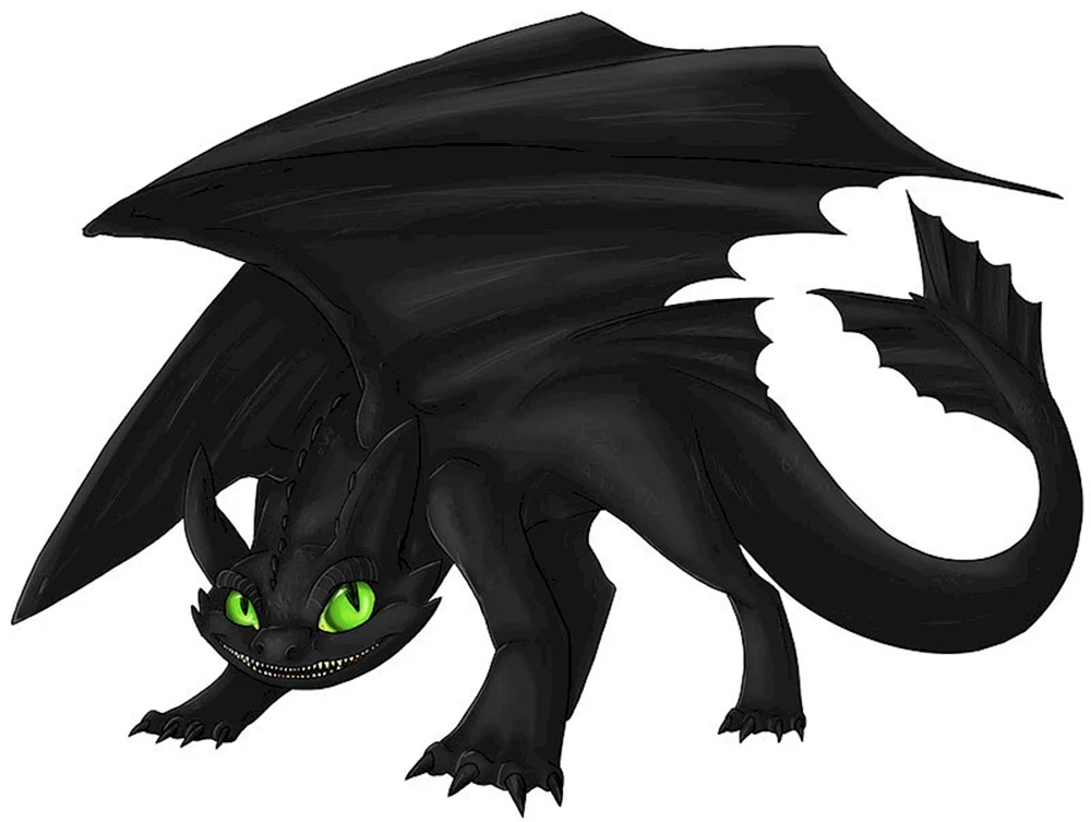 Night Fury bezubic