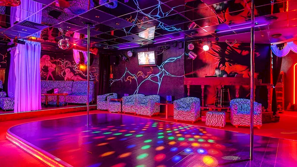 Flexible Neon Karaoke Bar