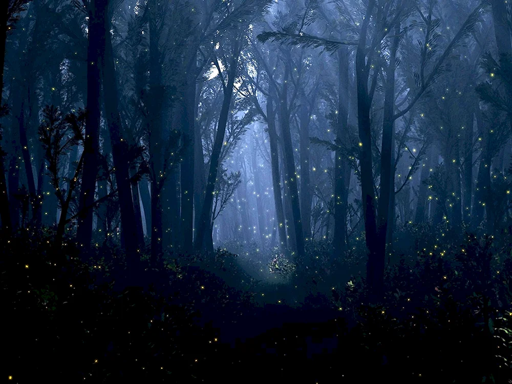 Zwillingsgipfel-Wald