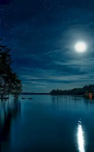 Nachtlandschaft