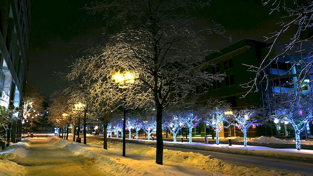 Neujahrsfenster