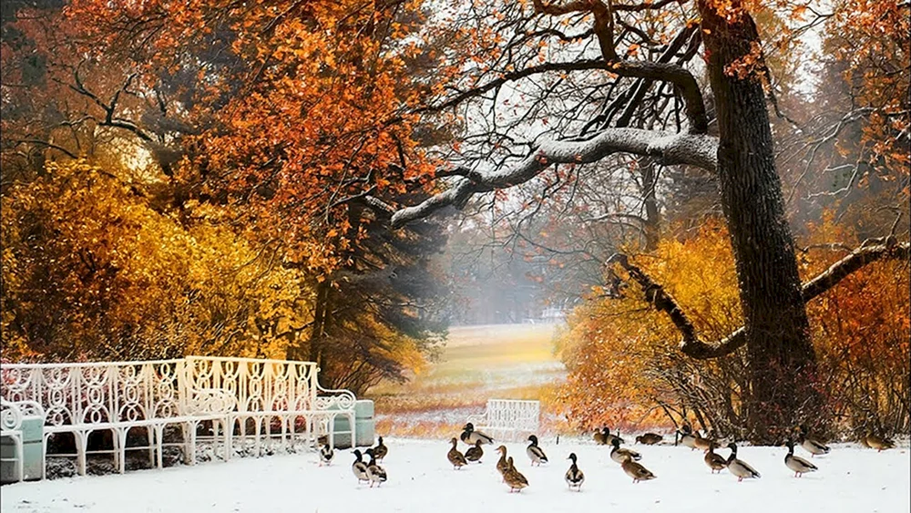 November Natur