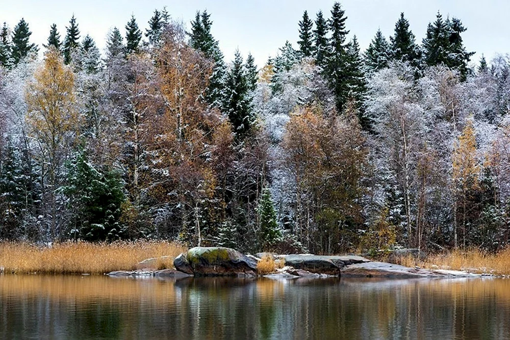 November Natur