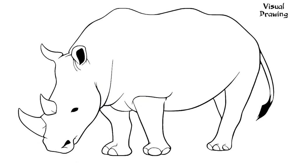 Rhinozeros zeichnen