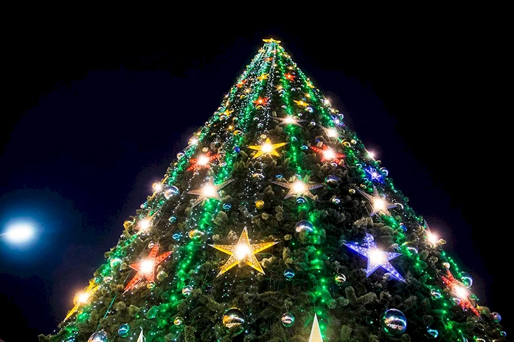 Neujahrsbaum