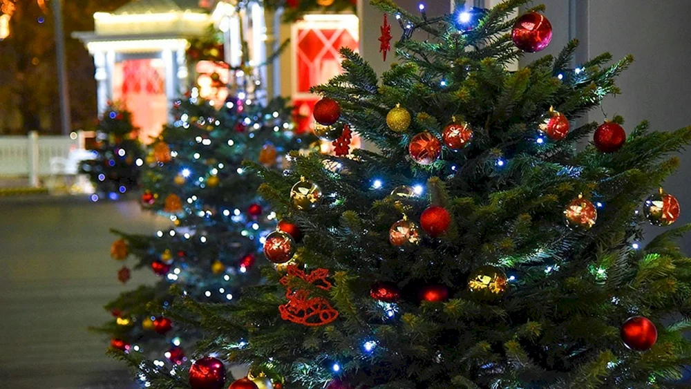 Neujahrsbaum