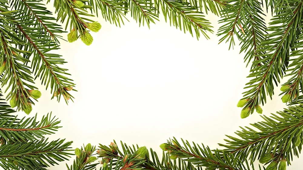 Neujahrszweige
