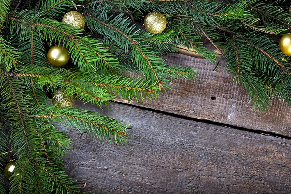 Neujahrshintergrund Fichtenzweig