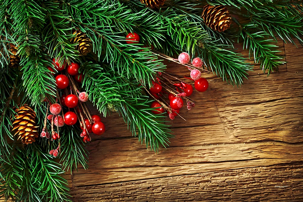 Neujahrszweig