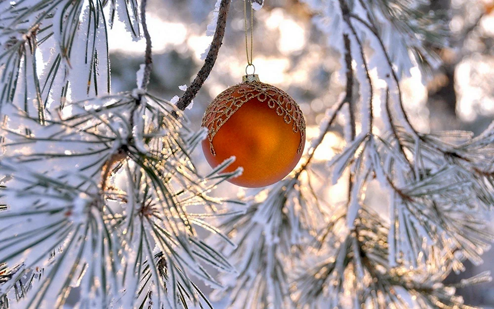 Silvester Winter