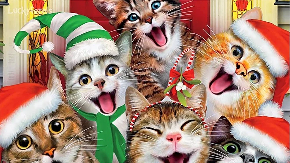 Neujahrskatze