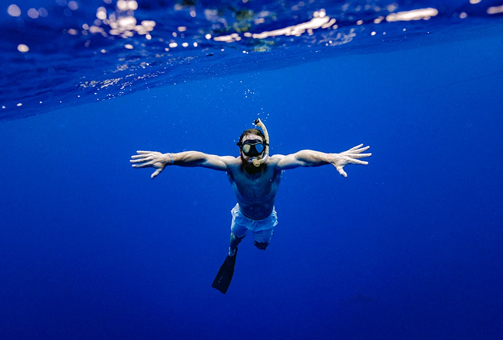 Kurt Arrigo