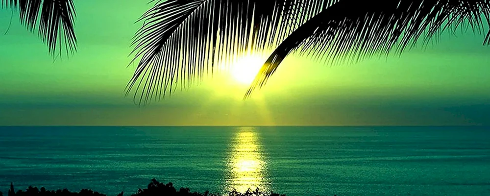 Facebook-Cover