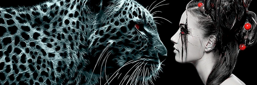 Profil-Cover