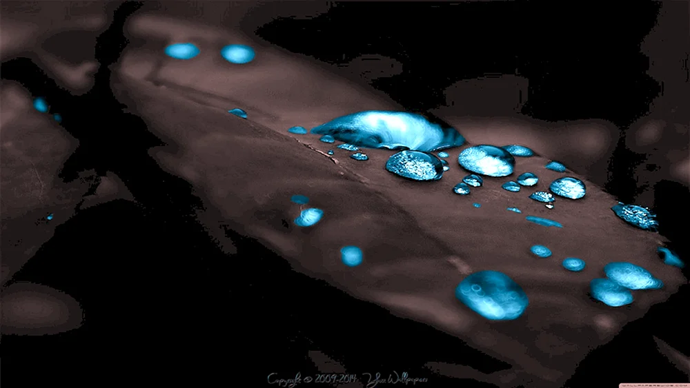Amoled 4k Schwarz