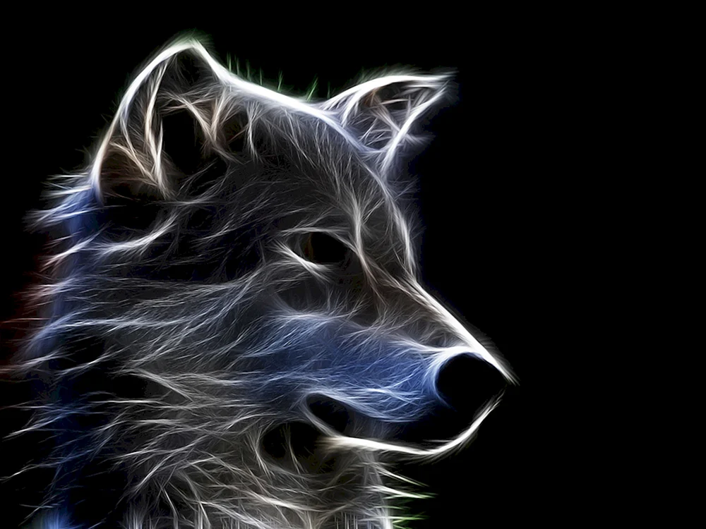 Fantasie Wolf