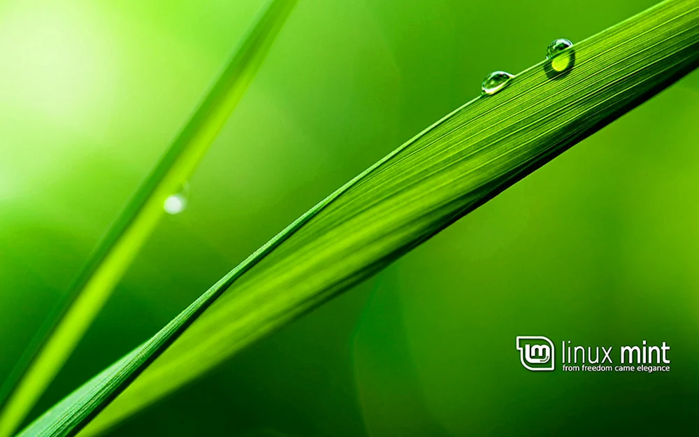 Grüner Hintergrund