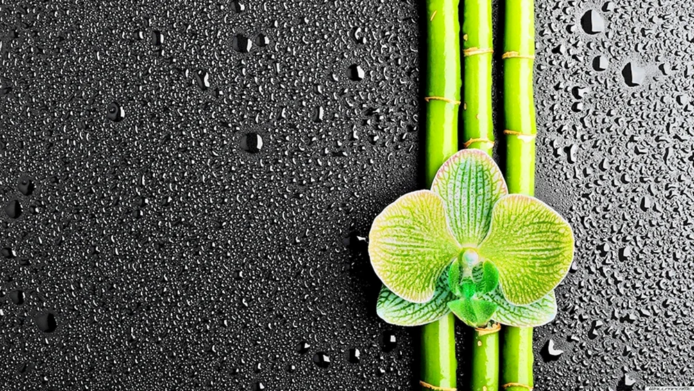 Smartphone-Hintergrundbild