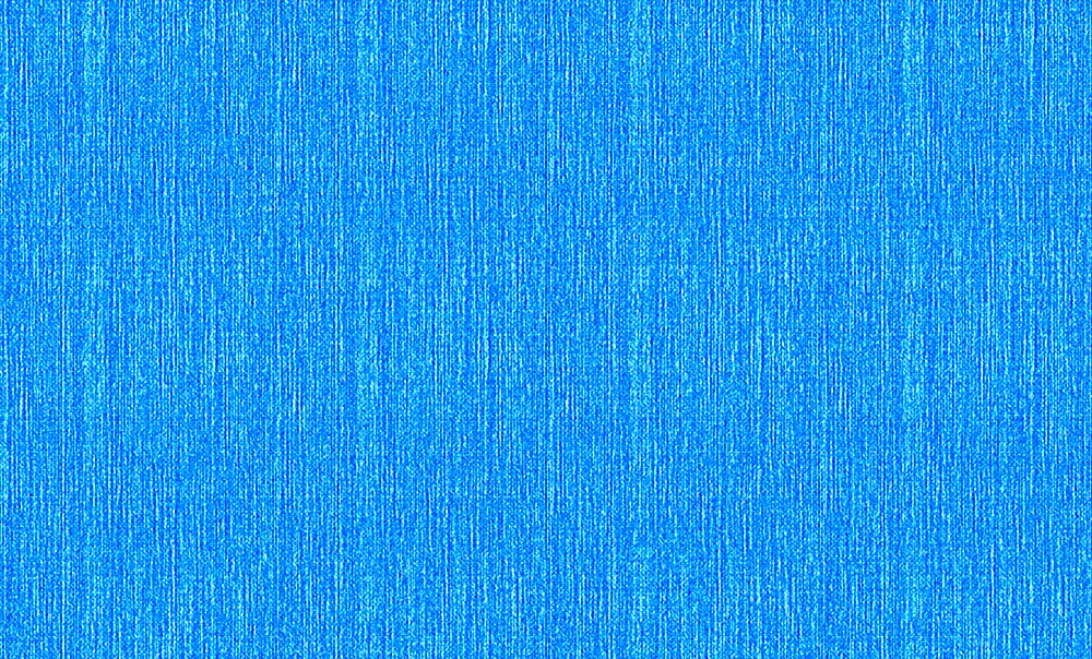 Rasch Wallpaper 960723